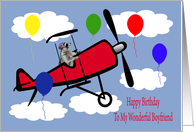 Birthday To Boyfriend, Raccoon flying an airplane card