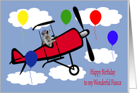 Birthday To Fiance, Raccoon flying an airplane with balloons, clouds card
