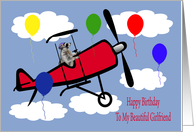 Birthday To Girlfriend, Raccoon flying an airplane card