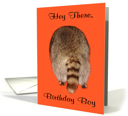 Birthday to Male Adult humor with a Raccoon's Tail on Orange card