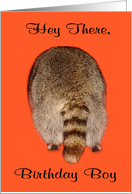 Birthday to Male Adult humor with a Raccoon’s Tail on Orange card