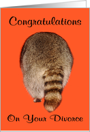 Congratulations On Your Divorce Card with a Raccoon’s Butt on Orange card