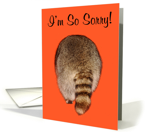 I'm Sorry, apology, humor, general, Raccoon's Butt on orange card
