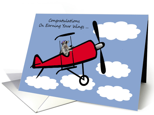 Congratulations On Becoming A Pilot with a Raccoon In An Airplane card