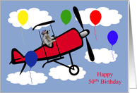 50th Birthday, general, Raccoon flying an airplane into the clouds card