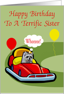 Birthday To Sister, Raccoon Driving A Bumper Car card