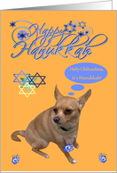 Hanukkah, general, Tan Chihuahua playing with dreidels on gold card
