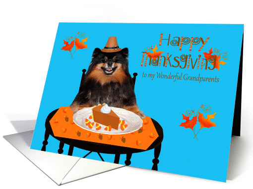 Thanksgiving to Grandparents, Pomeranian Pilgrim with pumpkin pie card