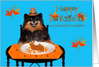 Thanksgiving to Grandfather, Pomeranian Pilgrim with pumpkin pie card