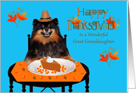 Thanksgiving to Great Granddaughter with a Pomeranian Pilgrim and Pie card