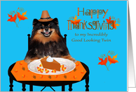 Thanksgiving to Twin with a Pomeranian Pilgrim and Pumpkin Pie card