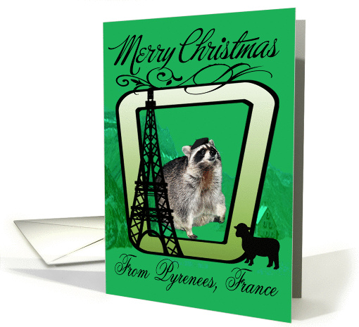 Pyrenees, France Christmas, Raccoon, mountains and a sheep card