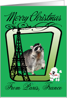 Paris, France Christmas, Raccoon In A Eiffel Tower Frame card