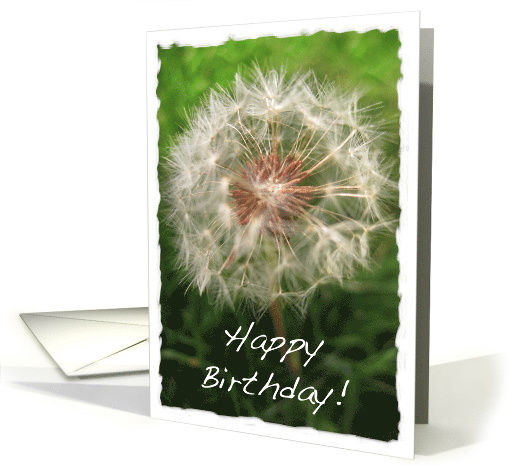 Happy Birthday Dandelion card (700030)
