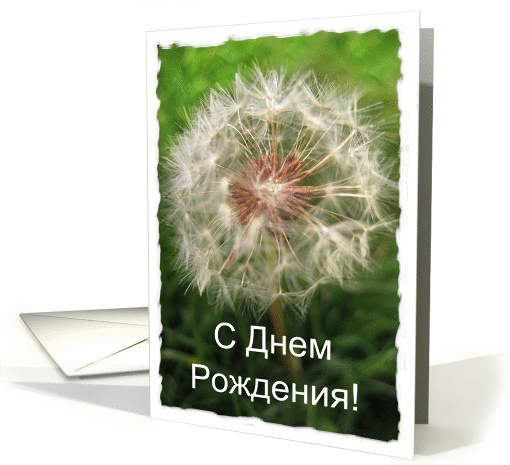 Russian Birthday Dandelion card (700041)