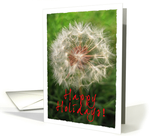 Dandelion Happy Holidays Lawn Care card (712941)