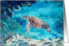 Artist Painting of an endangered Sea Turtle card