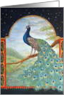 Peacock Prince card