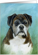 Boxer dog card