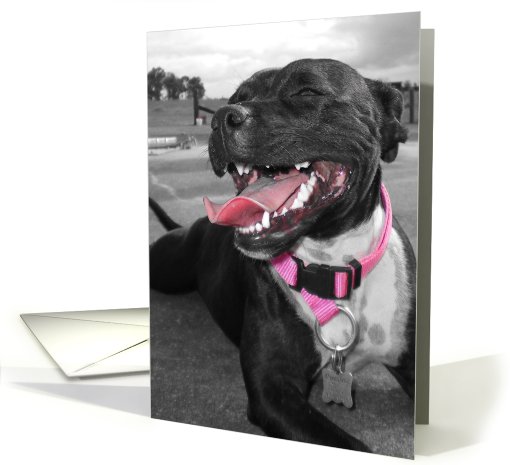 Birthday card (567996)
