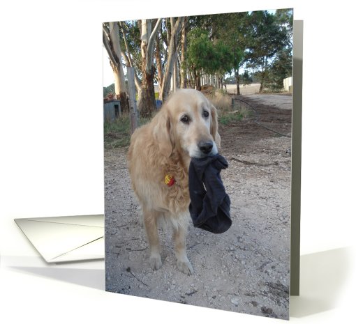 Birthday card (568000)