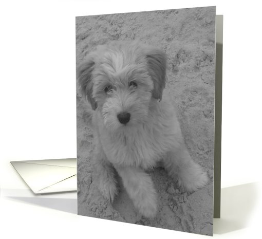 Birthday card (568003)