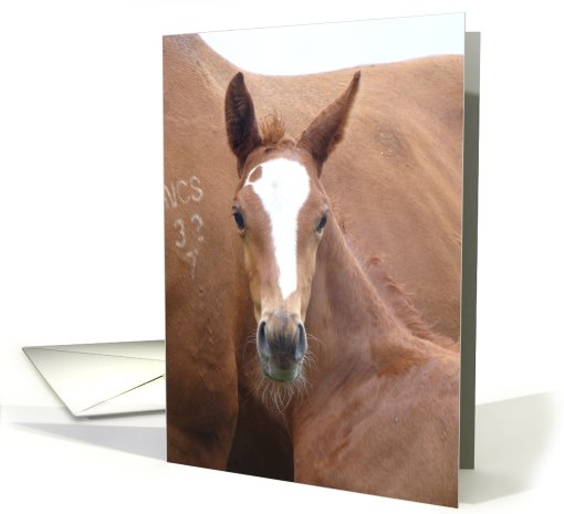 Birthday card (568033)