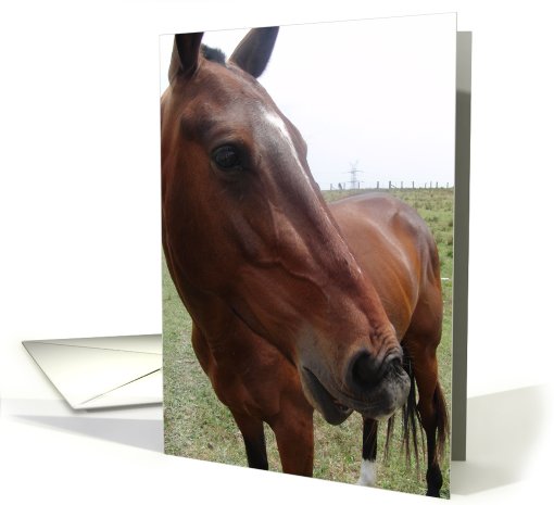 Birthday card (568034)