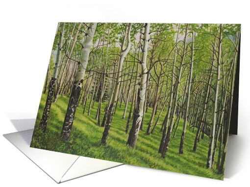 Banff, Cory Edith Pass card (562827)