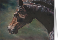 Horse, head, wind card