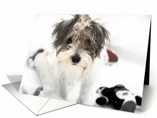 I'm Sorry, Sad Terrier Dog and Toys card (745501)