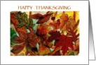 Happy Thanksgiving, Fall Leaves card