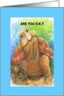 Are You O.K.? Cancer Encouragement for Partner of Cancer Patient card
