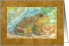 Frog, Sunning card