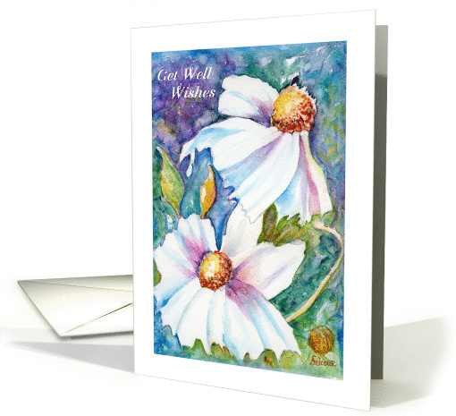 Get Well, White Flowers, Poppies, Matilija Poppies card (1366586)