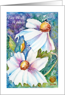 Get Well, White Flowers, Poppies, Matilija Poppies card