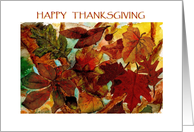 Happy Thanksgiving, Fall Leaves card