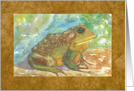 Frog, Sunning card