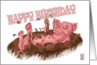 Happy Birthday! Hot pig, cool mud card