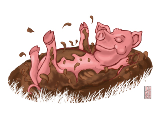 Hot pig, cool mud -...