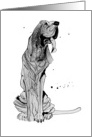 Happy Birthday, Baggy Bloodhound card