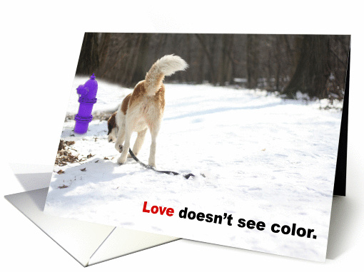 Love Doesn't See Color card (566701)