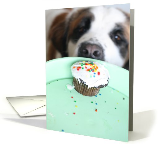 Happy Birthday . . . can I have your cupcake? card (567247)