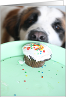 Happy Birthday . . . can I have your cupcake? card