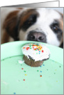 Happy Birthday . . . can I have your cupcake? card