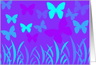 Butterfly Field card