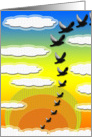 Free Bird card