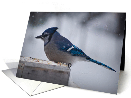 Birthday Card Father card (569016)