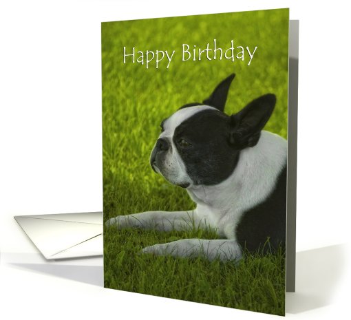 Birthday card (579448)