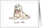 Love My Dog card